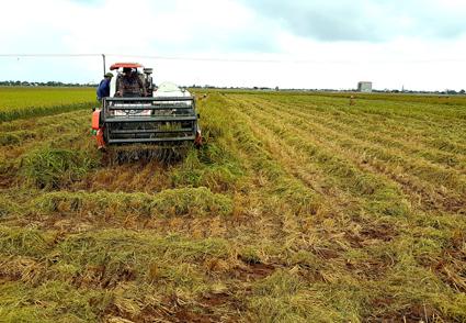 Cấp GCN khi Nhà nước thu hồi đất nông nghiệp?